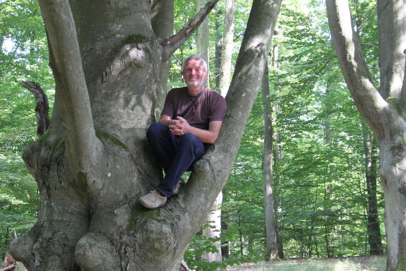 Bild von Roland Schulz auf einem Baum